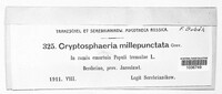 Cryptosphaeria eunomia image